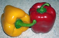 Gemüsepaprika - Unser Tipp im August 