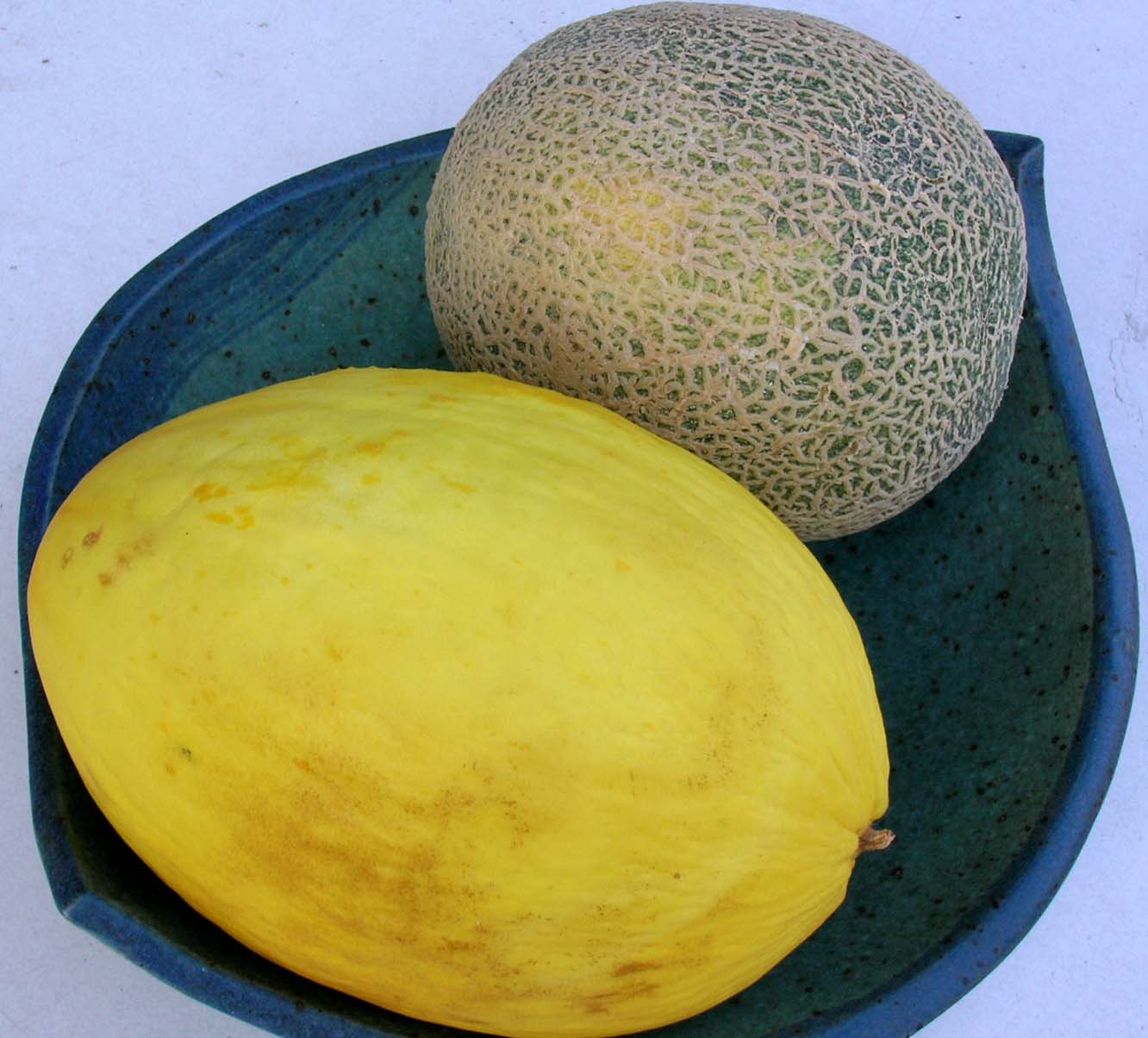 Melonen - besonders für die letzten warmen Tage im September