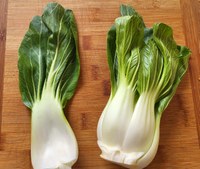 AKE Tipp: Pak Choi