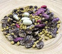 Welttag der Hülsenfrüchte -10. Februar