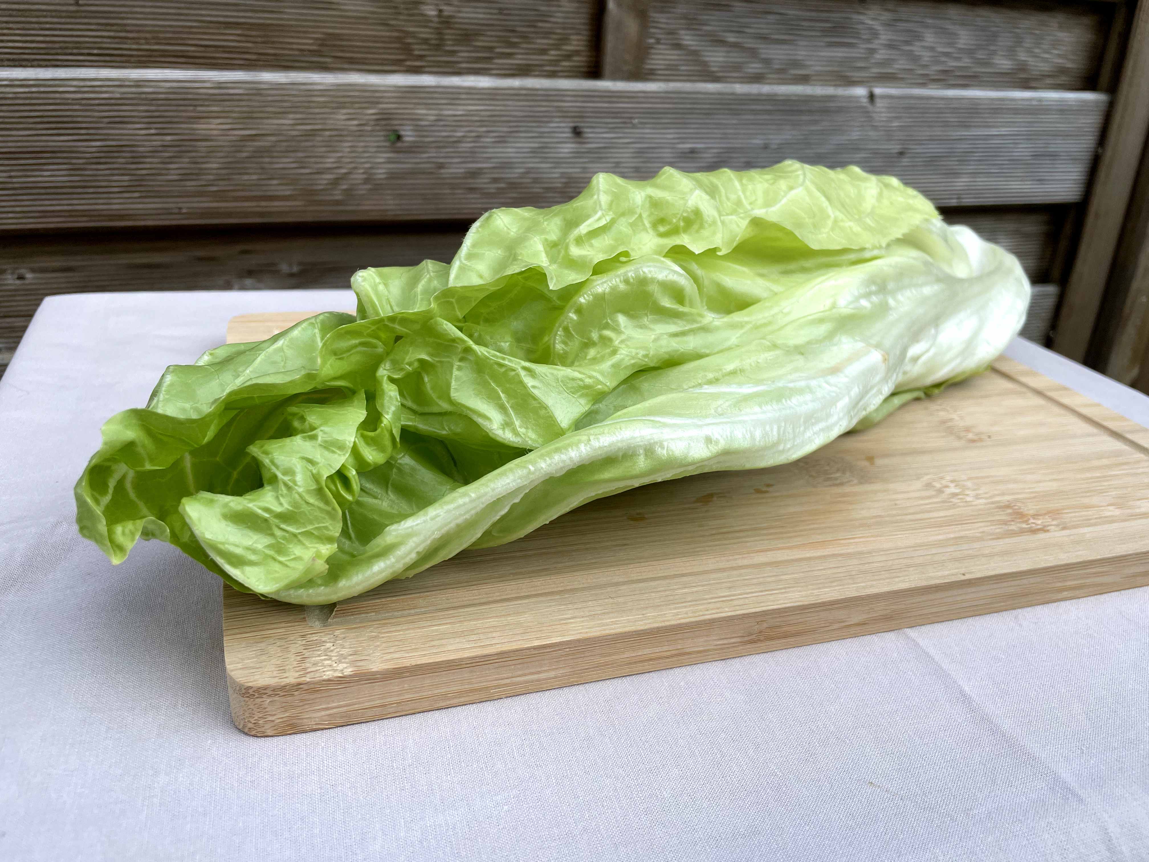 Zuckerhut - unser Tipp im Dezember