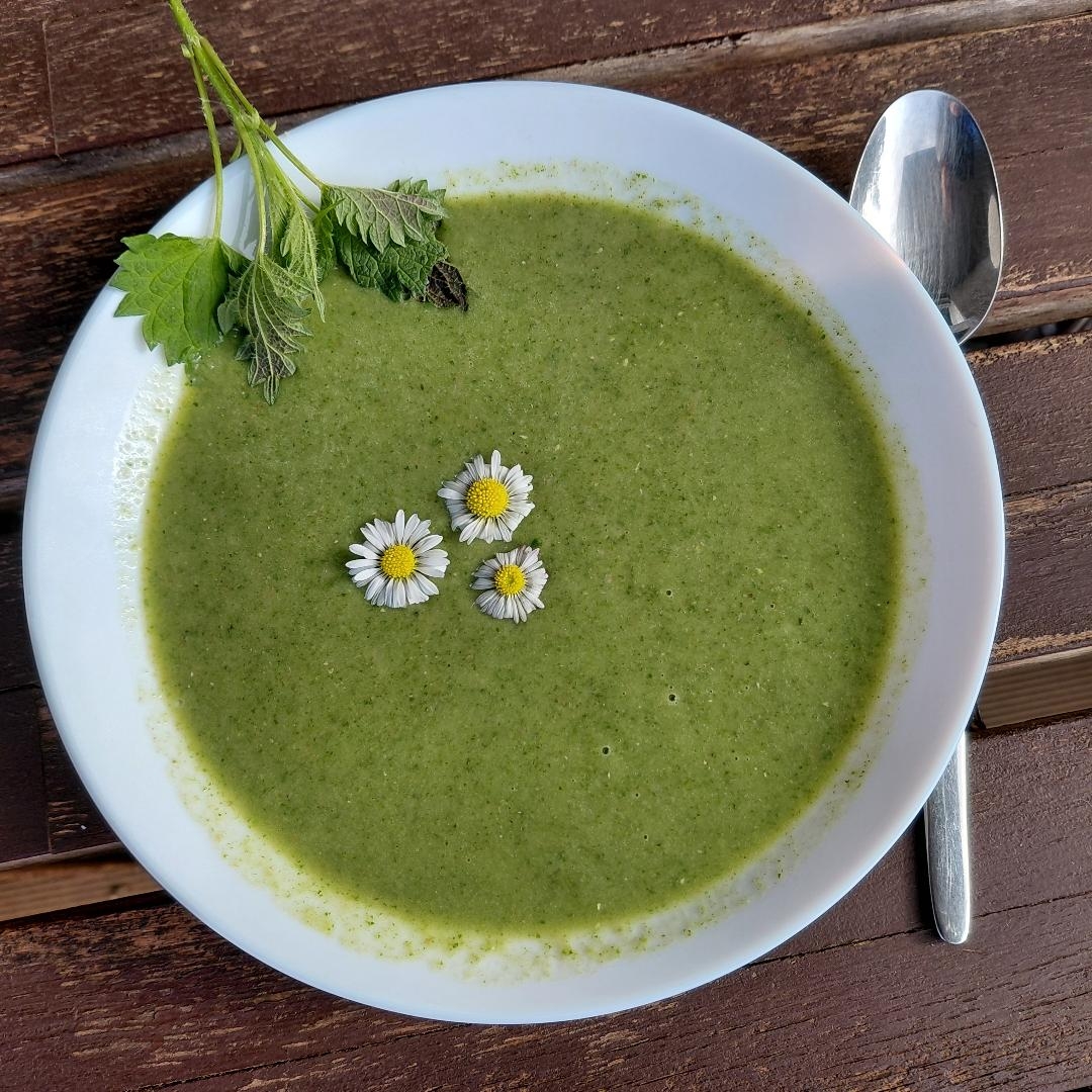 Brennesselsuppe im Teller