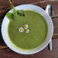Brennesselsuppe im Teller