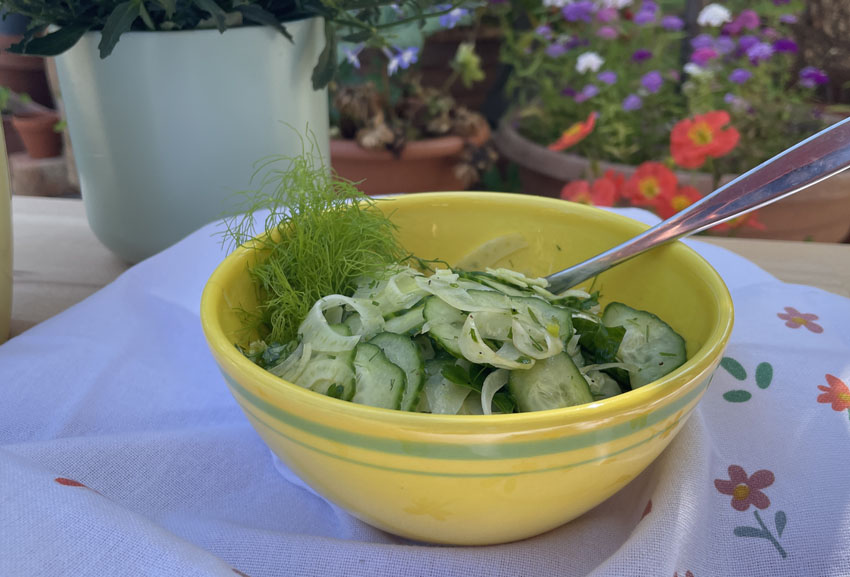 Fenchel Gurken Salat Rezeptseite