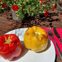 Gefüllte Paprika Starts