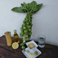 RosenkohlsenfsosseZutaten