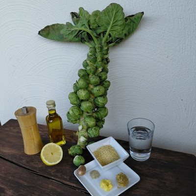 RosenkohlsenfsosseZutaten