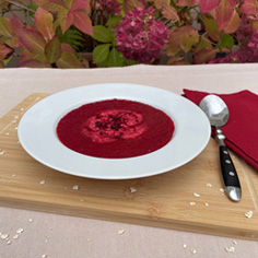 Rote Bete Suppe Startseite
